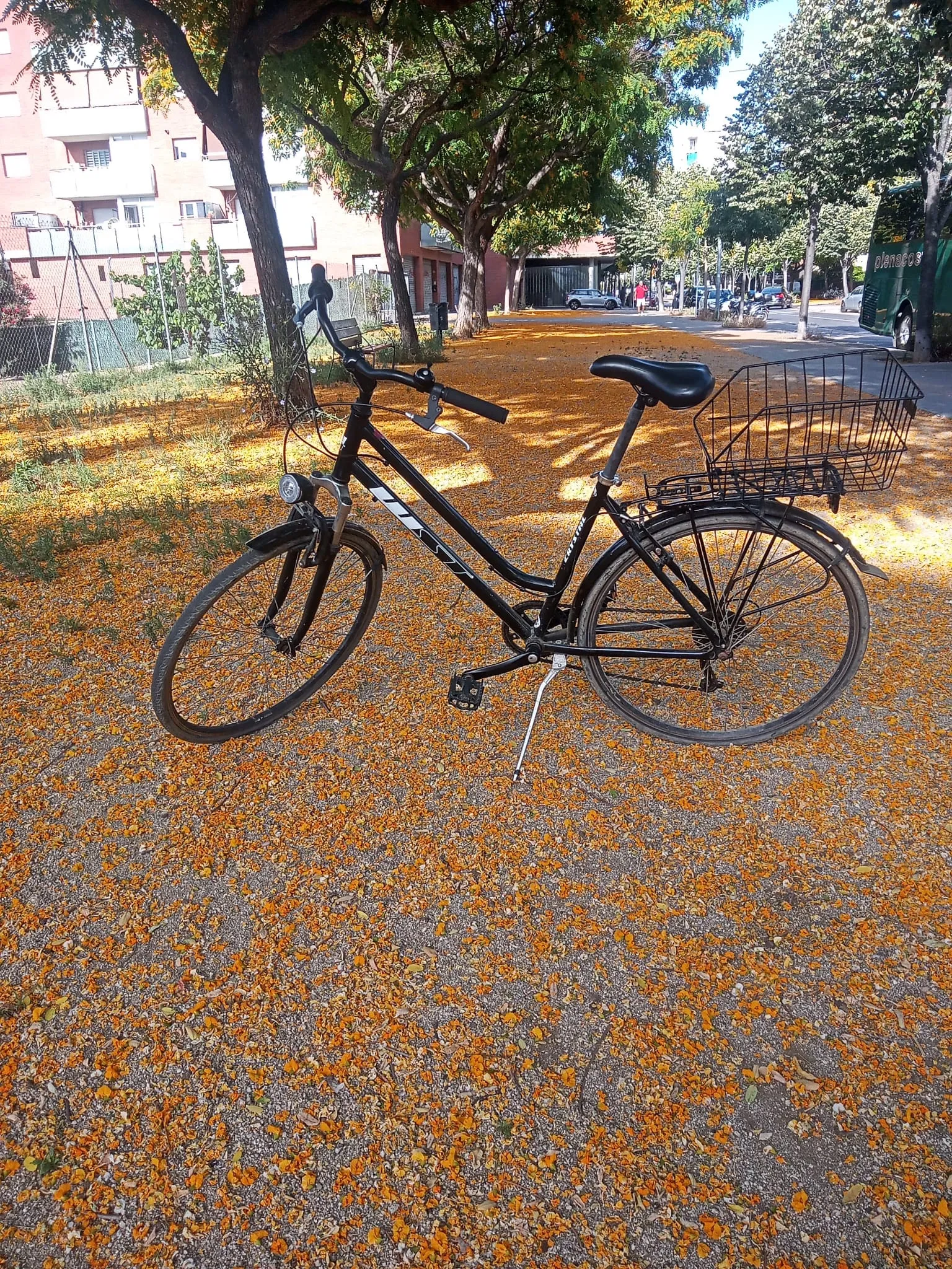 Bicicleta de alquiler en un paseo de Malgrat de Mar